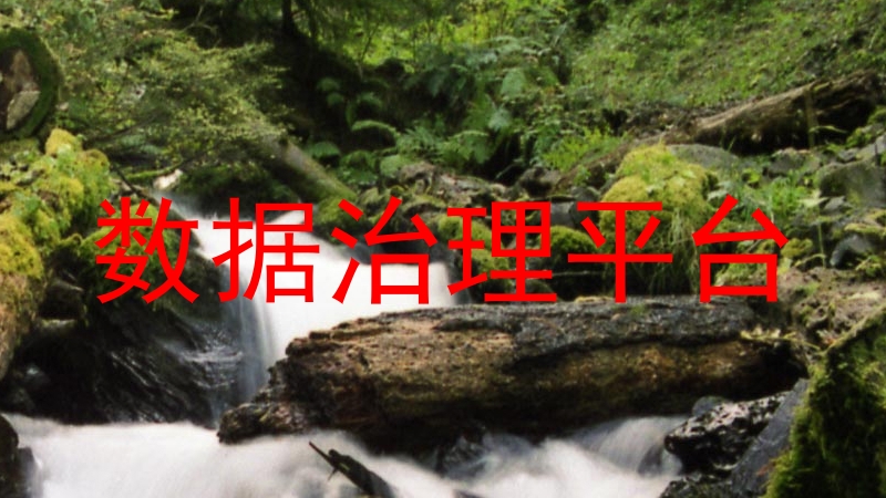 数据治理平台