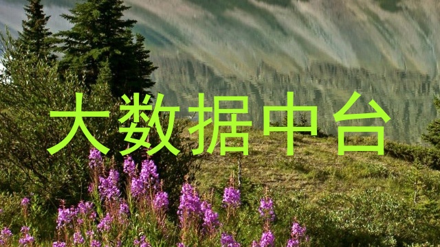 大数据中台