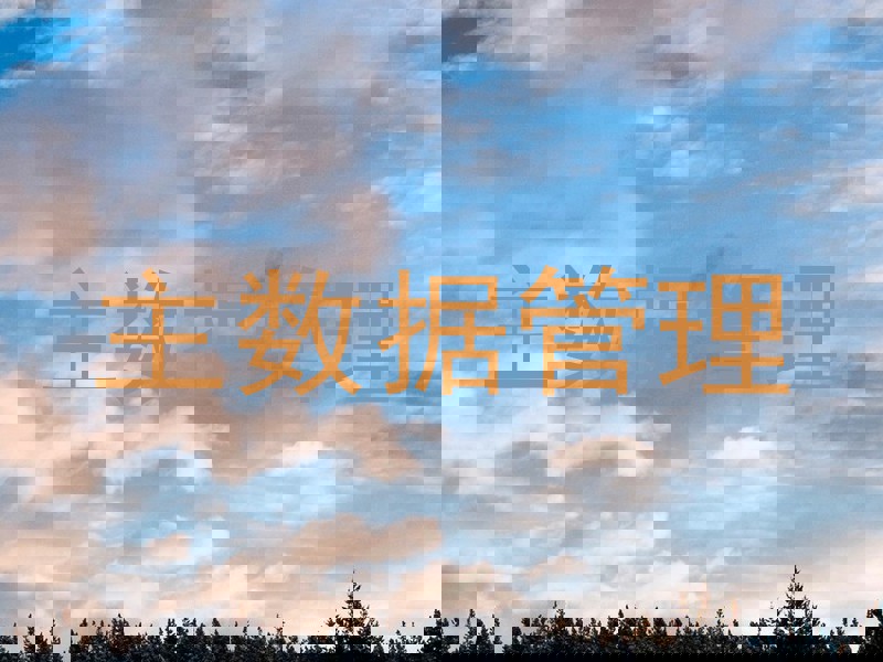 主数据管理