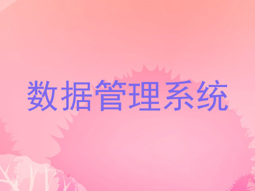 数据管理系统
