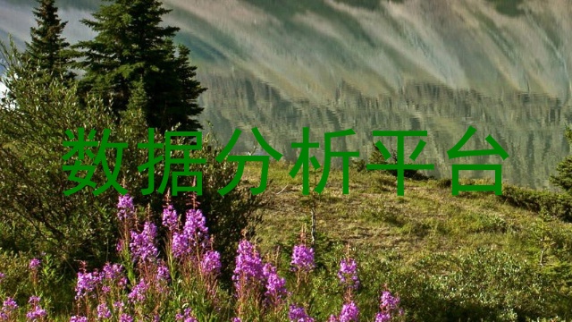 数据分析平台
