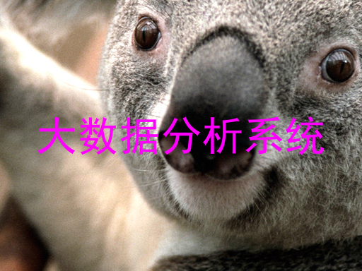 大数据分析系统