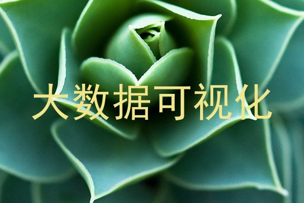 大数据可视化