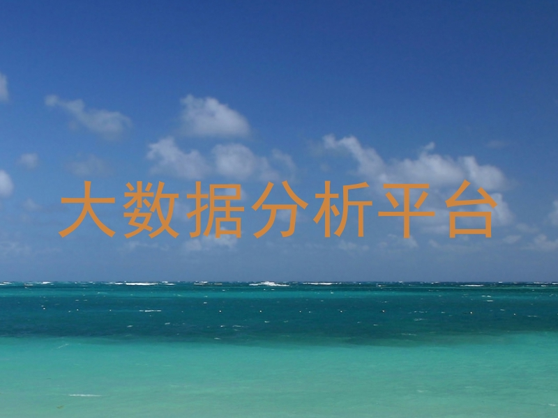 大数据分析平台