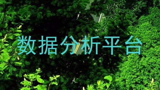 数据分析平台