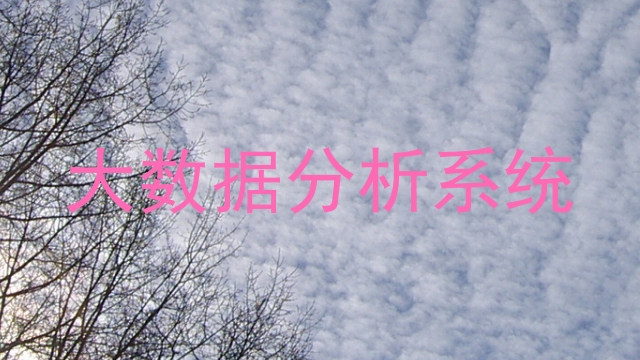 大数据分析系统