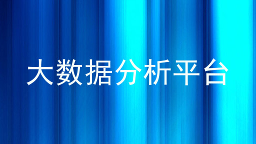 大数据分析平台
