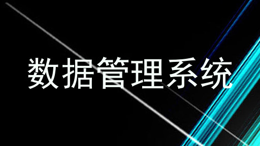 数据管理系统