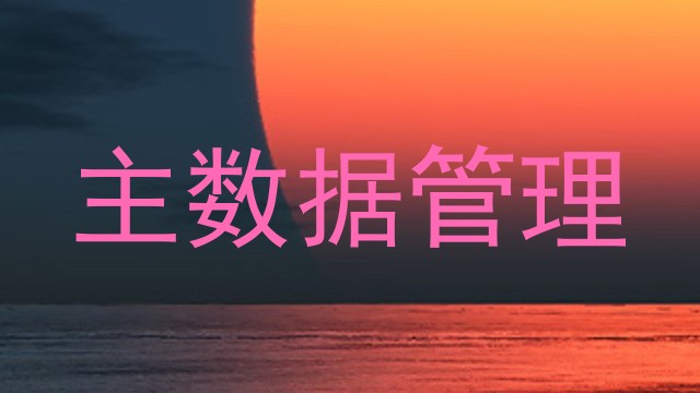 主数据管理