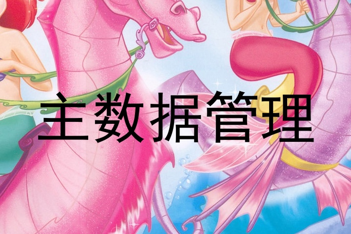 主数据管理