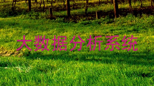 大数据分析系统