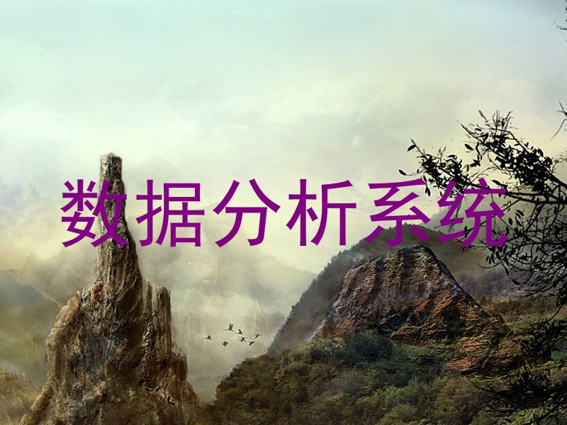 数据分析系统