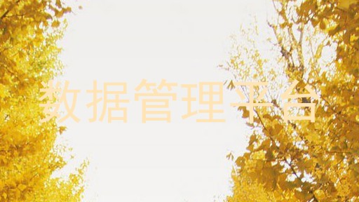 数据管理平台
