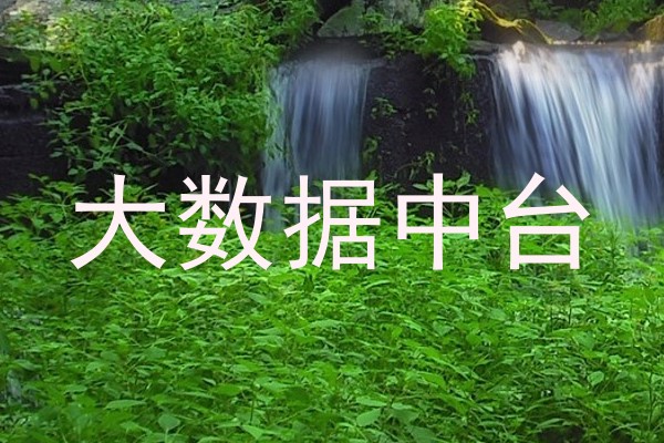 大数据中台
