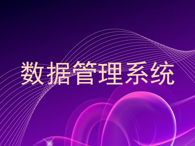 数据管理系统