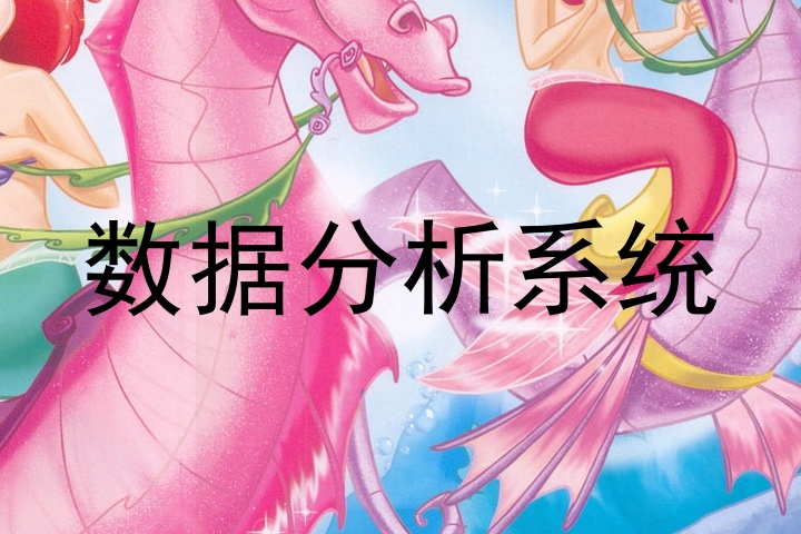 数据分析系统