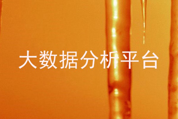 大数据分析平台