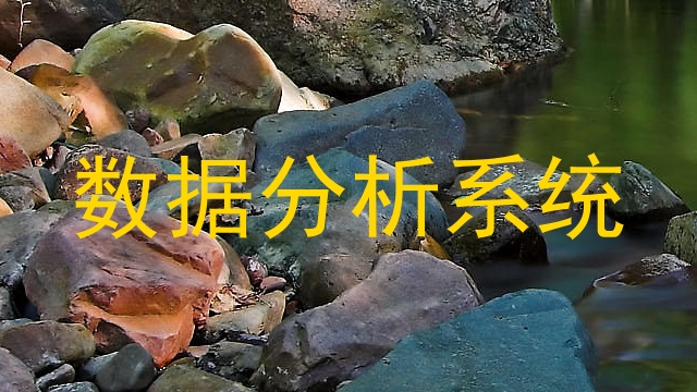 数据分析系统