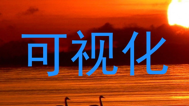 可视化