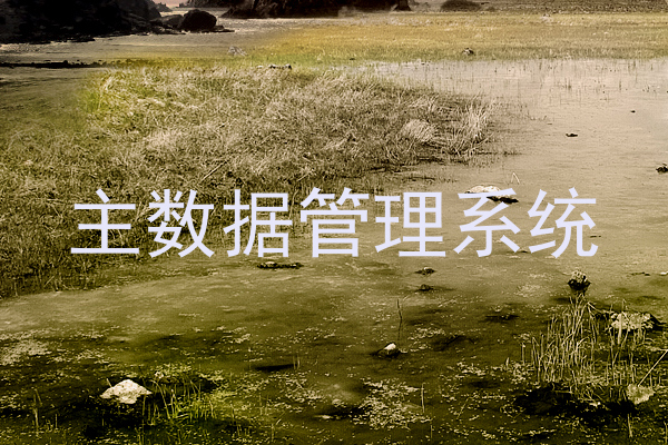 主数据管理系统