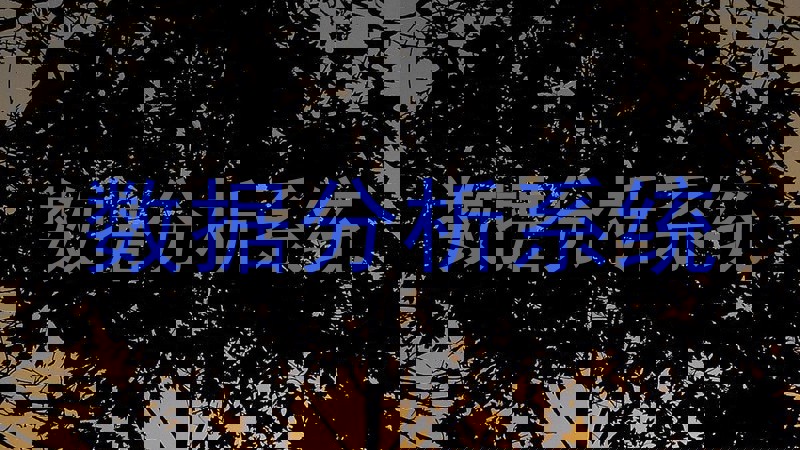 数据分析系统