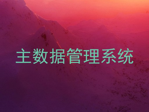 主数据管理系统