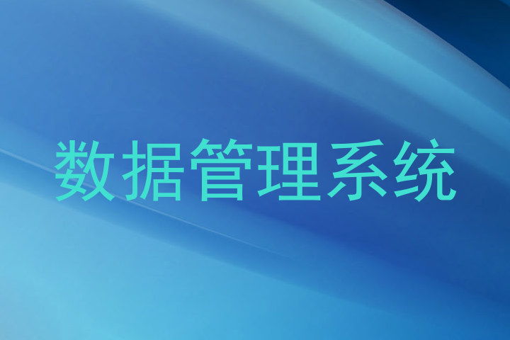 数据管理系统