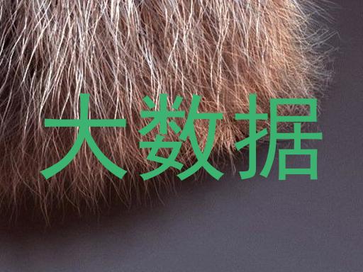 大数据