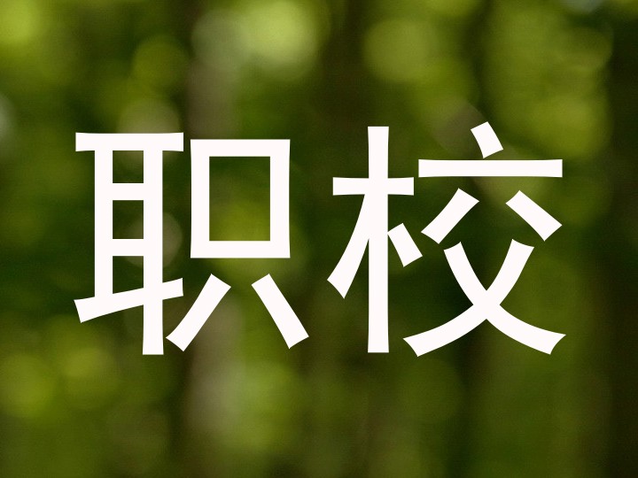 职校