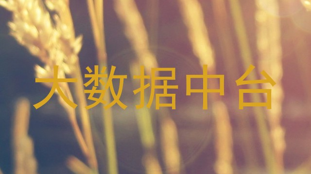 大数据中台