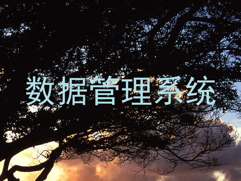 数据管理系统