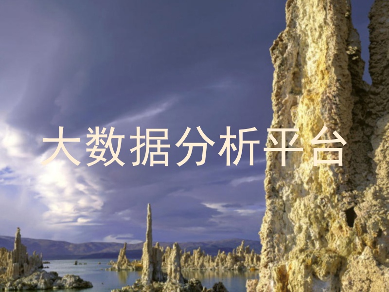 大数据分析平台