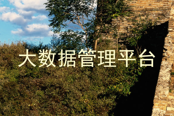 大数据管理平台