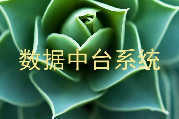 数据中台系统
