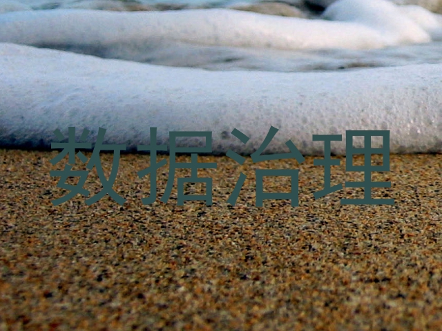 数据治理