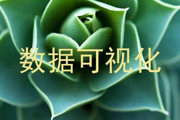 数据可视化
