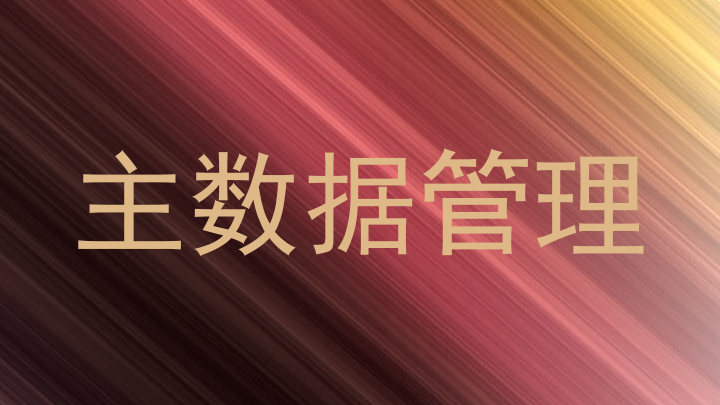 主数据管理
