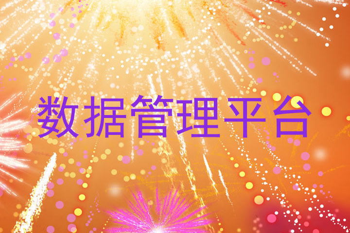 数据管理平台
