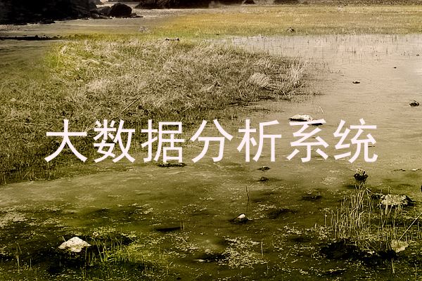 大数据分析系统