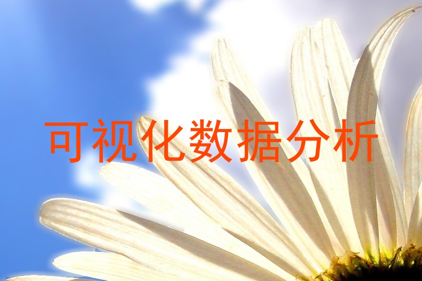 可视化数据分析