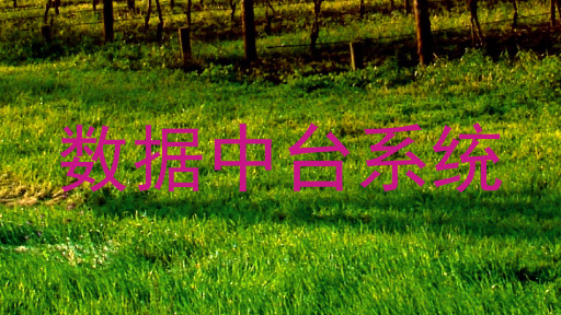 数据中台系统