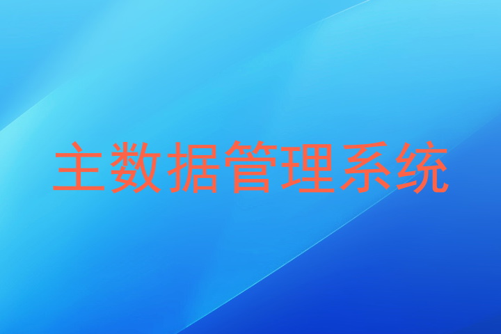 主数据管理系统
