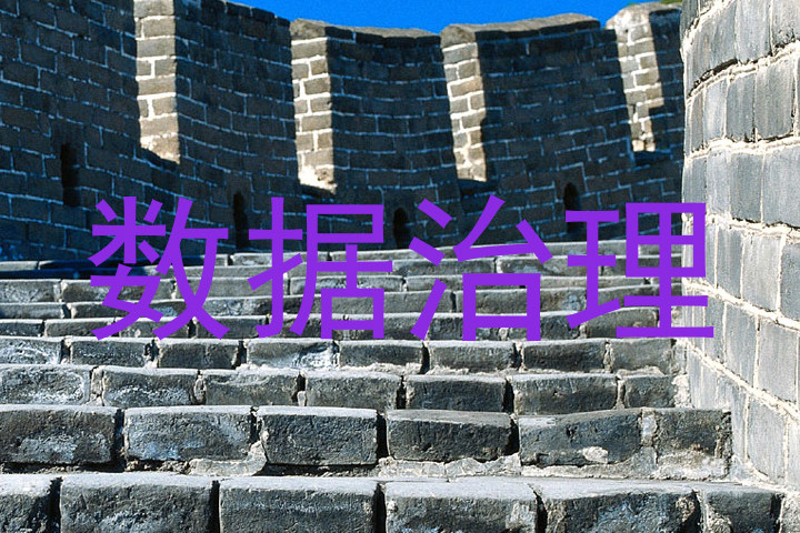 数据治理