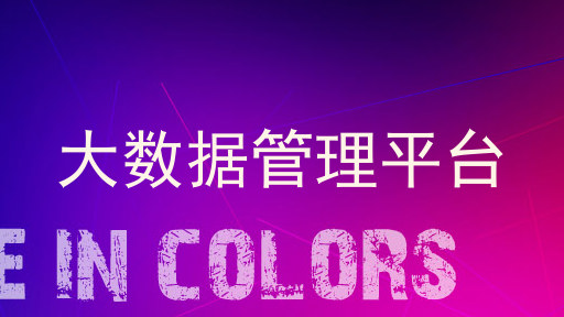 大数据管理平台