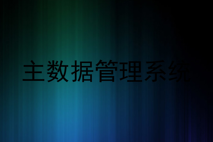 主数据管理系统