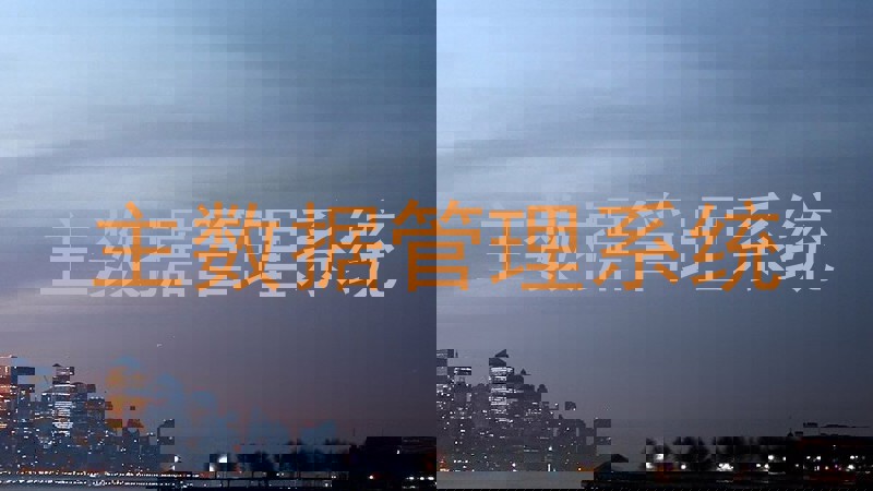 主数据管理系统