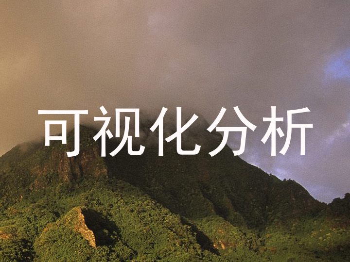 可视化分析
