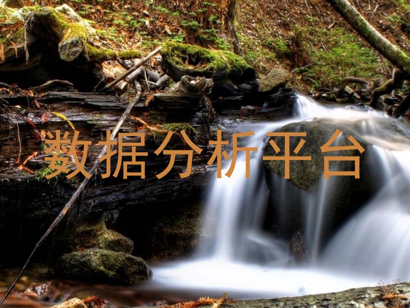 数据分析平台
