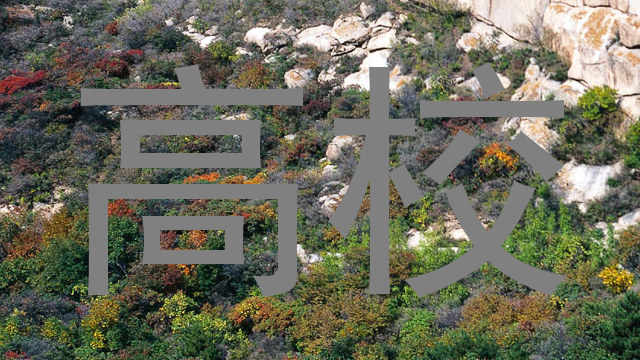 高校