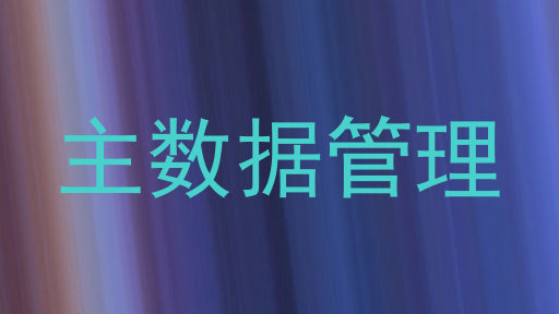 主数据管理